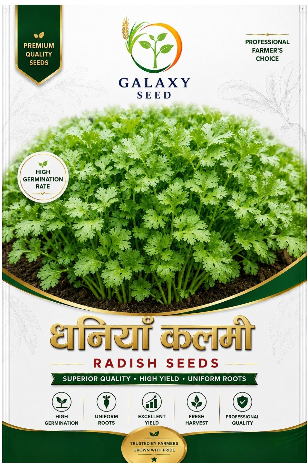 Dhaniya Kamali – Government-Approved Coriander Seed for Nepal